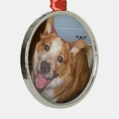Foto van een Happy Dog Metalen Ornament (Rechts)