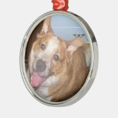 Foto van een Happy Dog Metalen Ornament (Links)