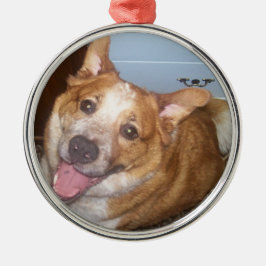 Foto van een Happy Dog Metalen Ornament