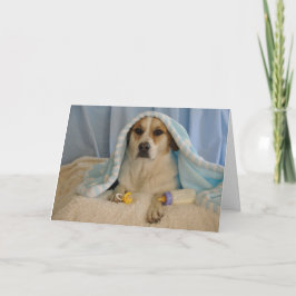 Foto van een hond als babyjongen kaart