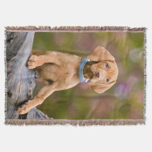 Foto van een juffrouw Hongaarse Vizsla Dog Puppy Deken