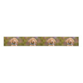 Foto van een juffrouw Hongaarse Vizsla Dog Puppy Grosgrain Lint (Voorkant)