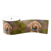 Foto van een juffrouw Hongaarse Vizsla Dog Puppy Grosgrain Lint (Spoel)