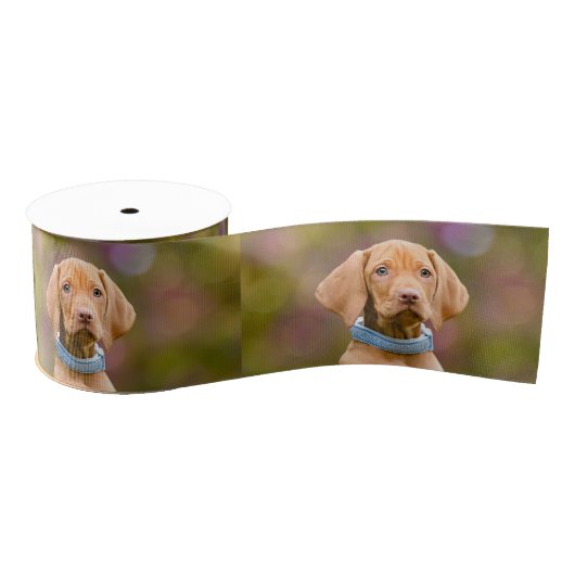 Foto van een juffrouw Hongaarse Vizsla Dog Puppy Grosgrain Lint (Spoel)