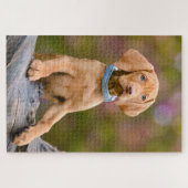 Foto van een juffrouw Hongaarse Vizsla Dog Puppy Legpuzzel (Horizontaal)