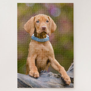 Foto van een juffrouw Hongaarse Vizsla Dog Puppy Legpuzzel