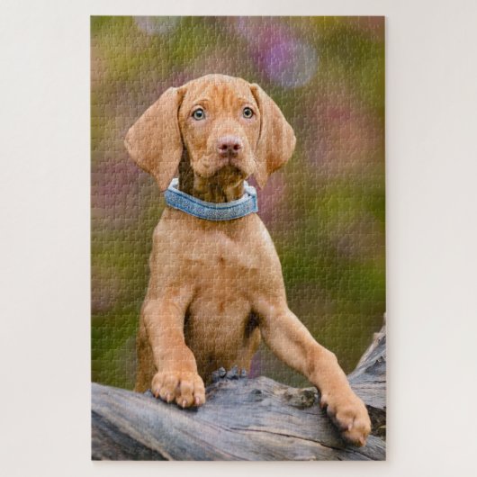 Foto van een juffrouw Hongaarse Vizsla Dog Puppy Legpuzzel (Verticaal)