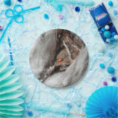 Foto van een kartonnen bord met een lieveheersbees (Feest)