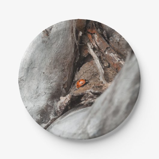 Foto van een kartonnen bord met een lieveheersbees (Voorkant)