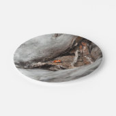 Foto van een kartonnen bord met een lieveheersbees (Gekanteld)