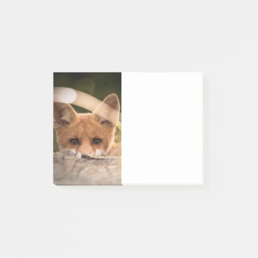 Foto van een knappe kleine oranje vos post-it® notes (Voorkant)
