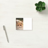 Foto van een knappe kleine oranje vos post-it® notes (Kantoor)