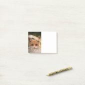 Foto van een knappe kleine oranje vos post-it® notes (Op bureau)