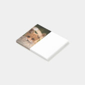 Foto van een knappe kleine oranje vos post-it® notes (Schuin)