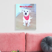 Foto van een knuffel hond met grappige uitstaande canvas afdruk (Insitu (Woonkamer))