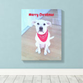 Foto van een knuffel hond met grappige uitstaande canvas afdruk (Insitu (Houten vloer))