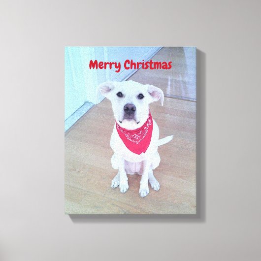 Foto van een knuffel hond met grappige uitstaande canvas afdruk (Voorkant)