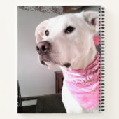 Foto van een knuffelbare witte puppy die een roze  notitieboek (Achterkant)