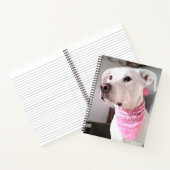 Foto van een knuffelbare witte puppy die een roze  notitieboek (Binnen)