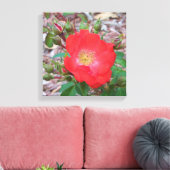 foto van een koraalkleurig open roos canvas afdruk (Insitu (Woonkamer))