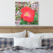foto van een koraalkleurig open roos canvas afdruk (Insitu (Slaapkamer))