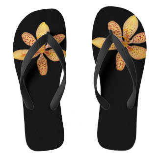 Foto van een lichte oranje Blackberry Lily op zwar Teenslippers