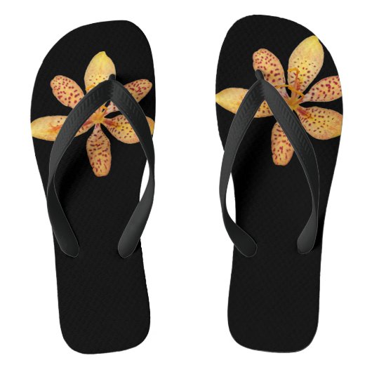 Foto van een lichte oranje Blackberry Lily op zwar Teenslippers (Voetbed)