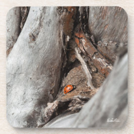 foto van een lieveheersbeestje drankjes onderzetter