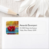  foto van een Lotus Flower in een Pond Etiket (Insitu)