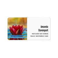 foto van een Lotus Flower in een Pond