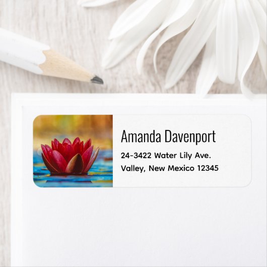 foto van een Lotus Flower in een Pond Etiket (Insitu)