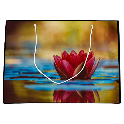  foto van een Lotus Flower in een Pond Groot Cadeauzakje (Voorkant)