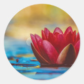  foto van een Lotus Flower in een Pond Ronde Sticker (Voorkant)