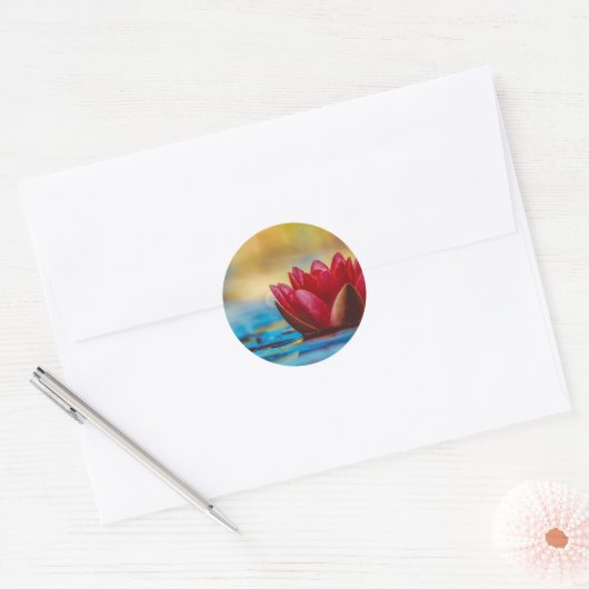  foto van een Lotus Flower in een Pond Ronde Sticker (Envelop)