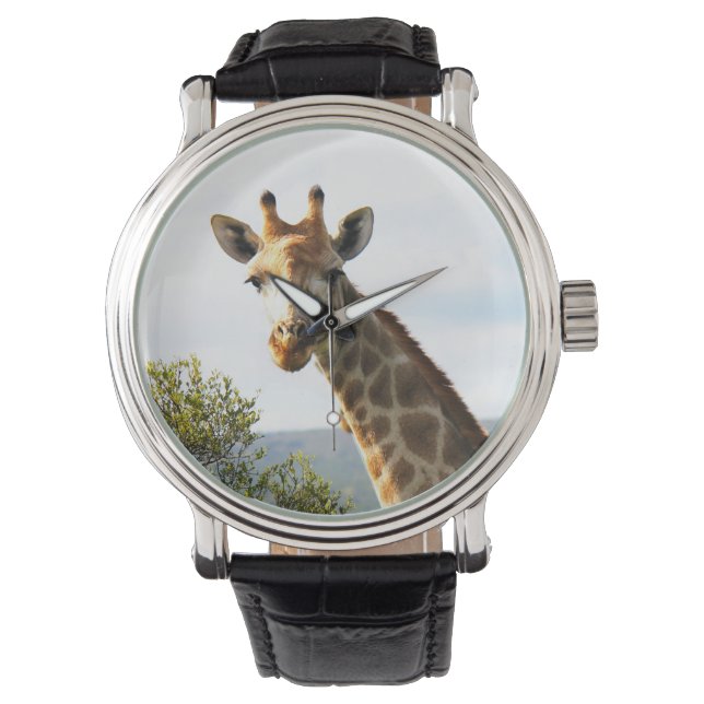 Foto van een mannelijke Giraffe op Safari Horloge (Voorkant)