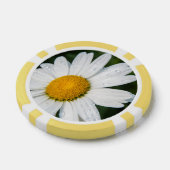 Foto van een margueritte, druppel water, groen poker chips (Enkel)