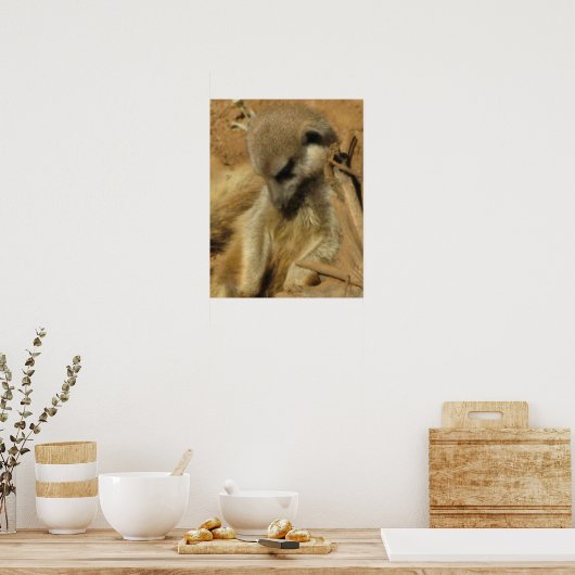Foto van een Meerkat Poster (Keuken)