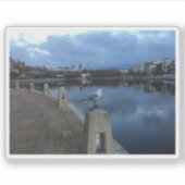 Foto van een meeuw sticker (Voorkant)