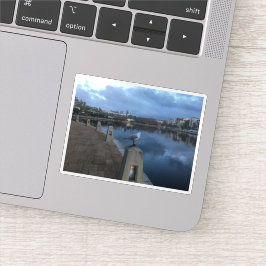 Foto van een meeuw sticker