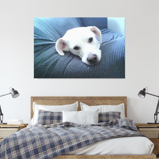 Foto van een mooi en vredig wit hondengezicht canvas afdruk (Insitu (Slaapkamer))