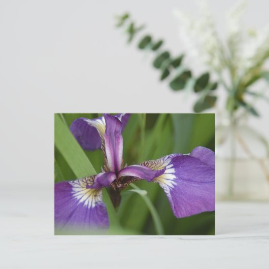 Foto van een mooie, paarse irisbloem briefkaart (Staand voorkant)