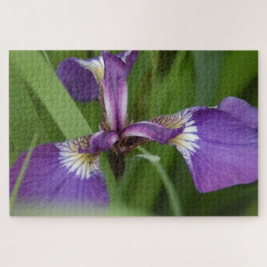Foto van een mooie, paarse irisbloem legpuzzel (Horizontaal)