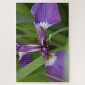 Foto van een mooie, paarse irisbloem legpuzzel (Verticaal)