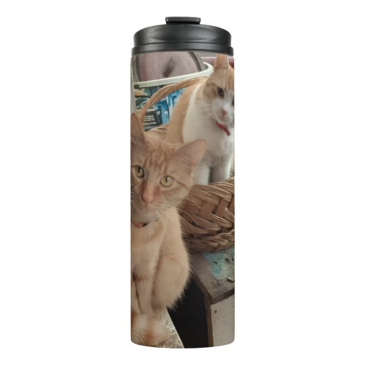 Foto van een oranje kat thermosbeker (Voorkant)