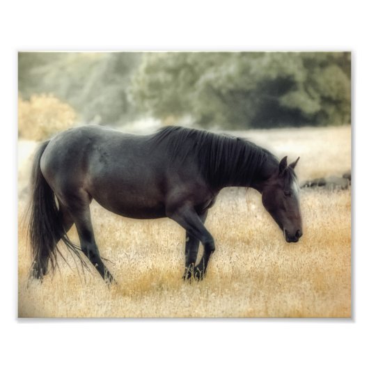 Foto van een paard met zachte focus afdruk (Voorkant)
