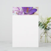 Foto van een  Paarse Lente Crocus Briefpapier (Staand voorkant)