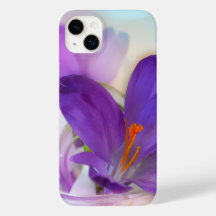 Foto van een  Paarse Lente Crocus
