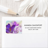 Foto van een  Paarse Lente Crocus Etiket (Insitu)