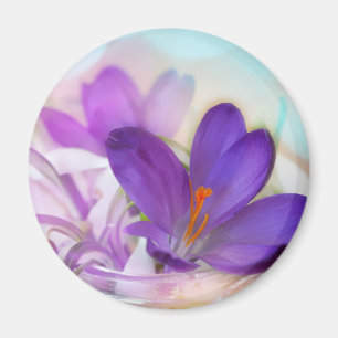 Foto van een  Paarse Lente Crocus Magneet