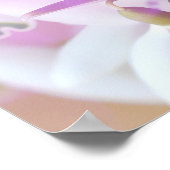 Foto van een  Paarse Lente Crocus Poster (Hoek)